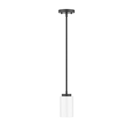 50" One Light Pendant Lamp